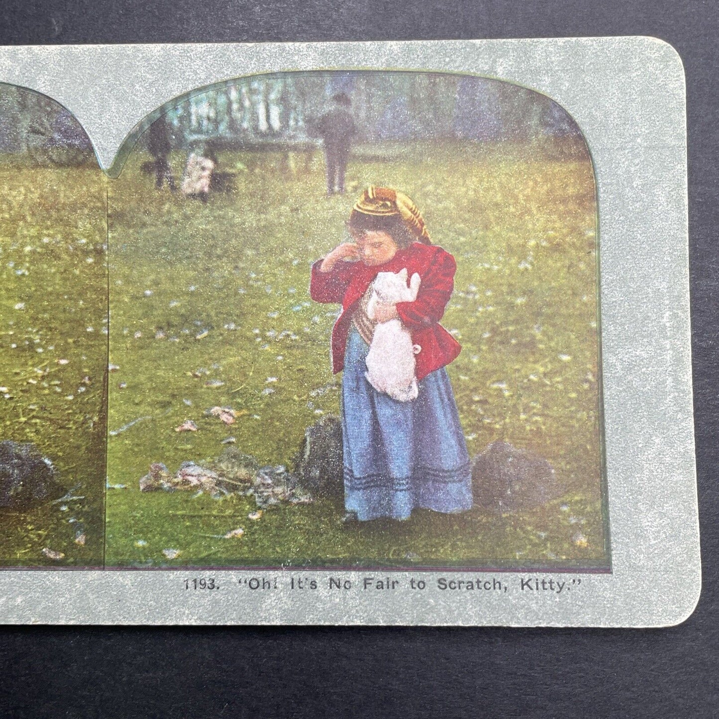 Antique 1892 Cat Scratches Child's Face Stereoview Photo Card P1222