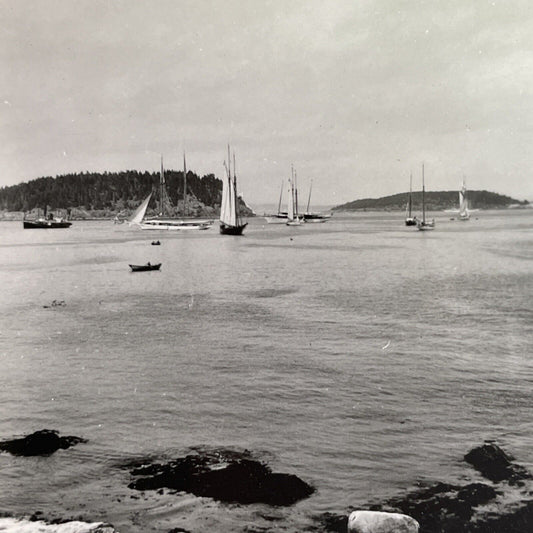 Antique 1918 Bar Harbor Maine Yachts And Sailboats Stereoview Photo Card P1312