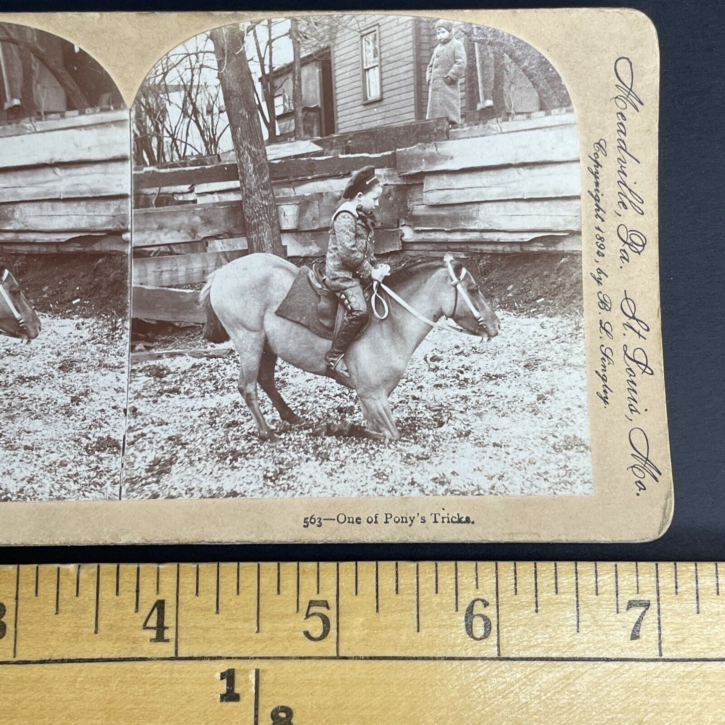Antique 1894 Boy & Pony Dismount Trick  Stereoview Photo Card PC777