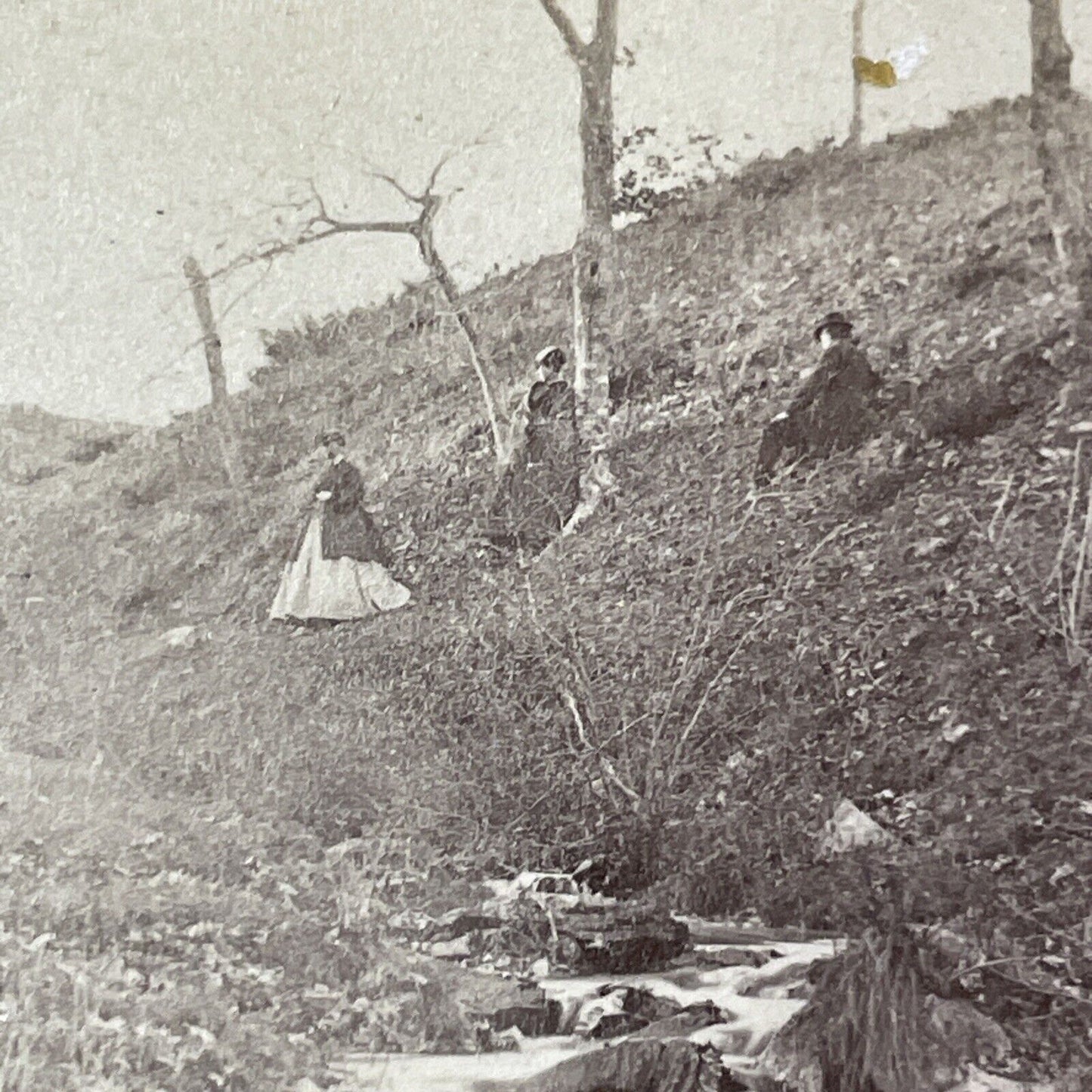 Wealthy Women In Whittier NH Stereoview Photo CA Beckford Antique c1869 X939