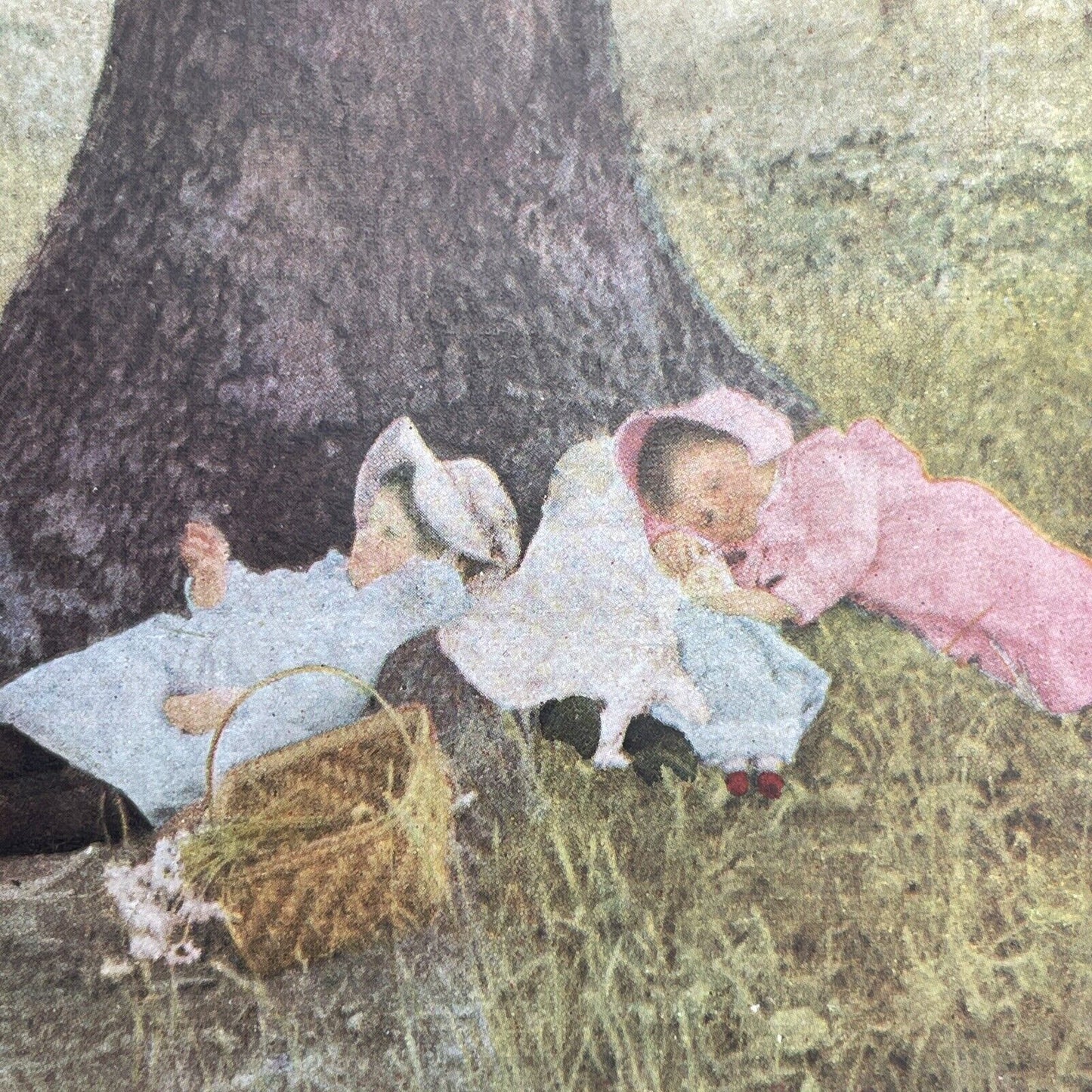 Antique 1898 Children Sleeping In The Woods Stereoview Photo Card P1217