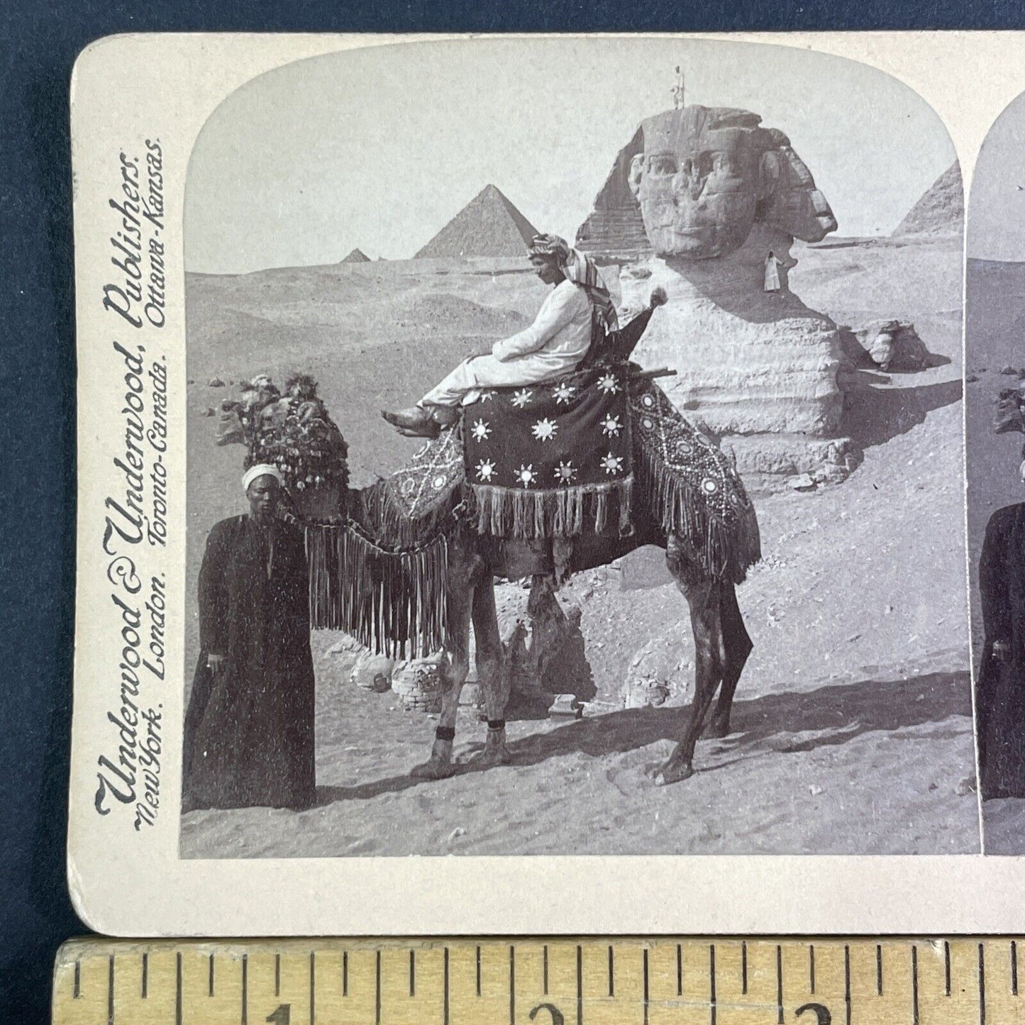 The Great Sphinx Unexcavated Stereoview Sand Covered Egypt Antique c1896 X3124