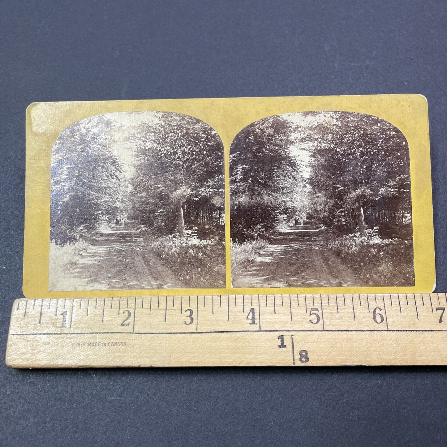 Antique 1870s The Dinsmoor Woods Keene New Hampshire Stereoview Photo Card V2084