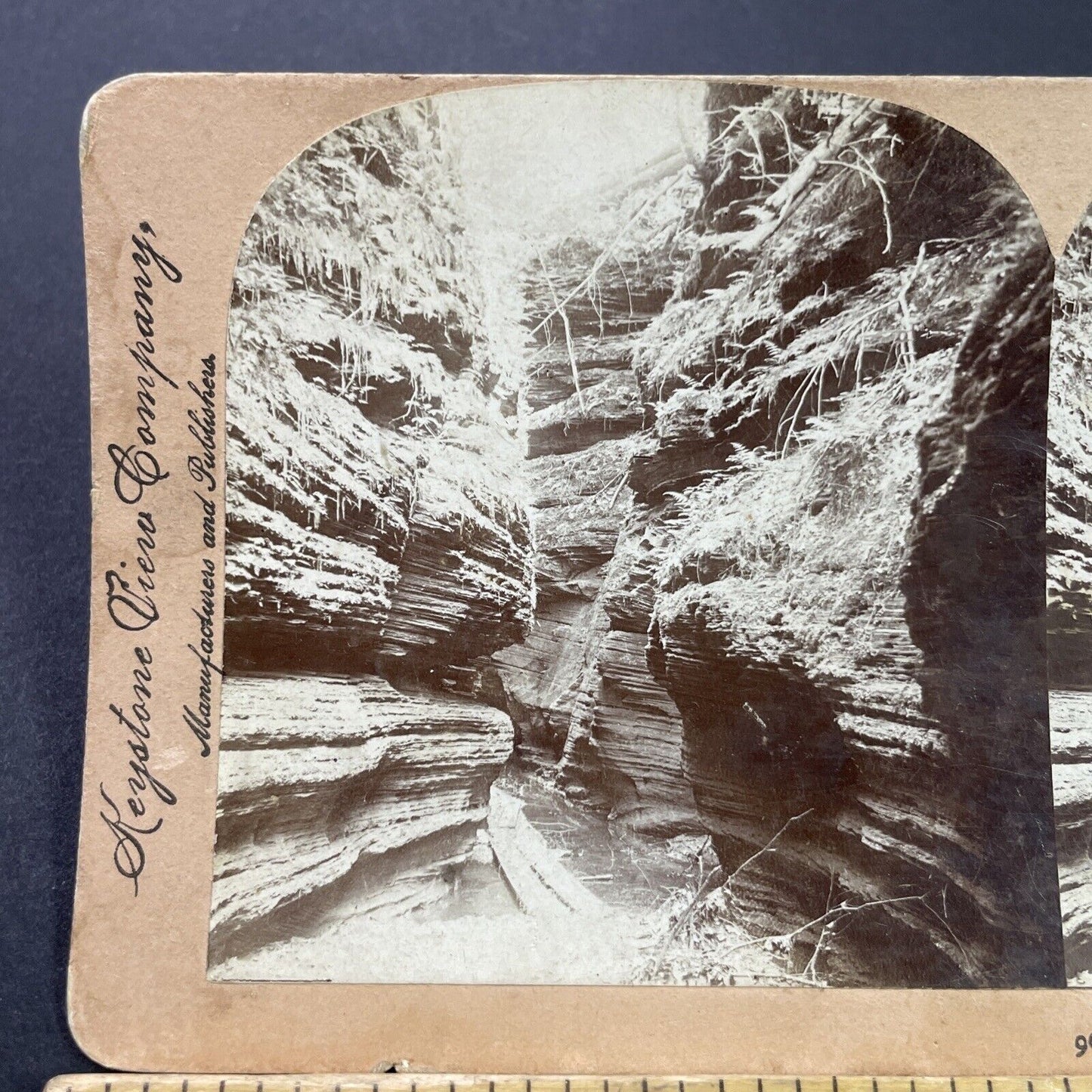 Antique 1899 Wisconsin Dells Canyon Gorge Stereoview Photo Card P3804