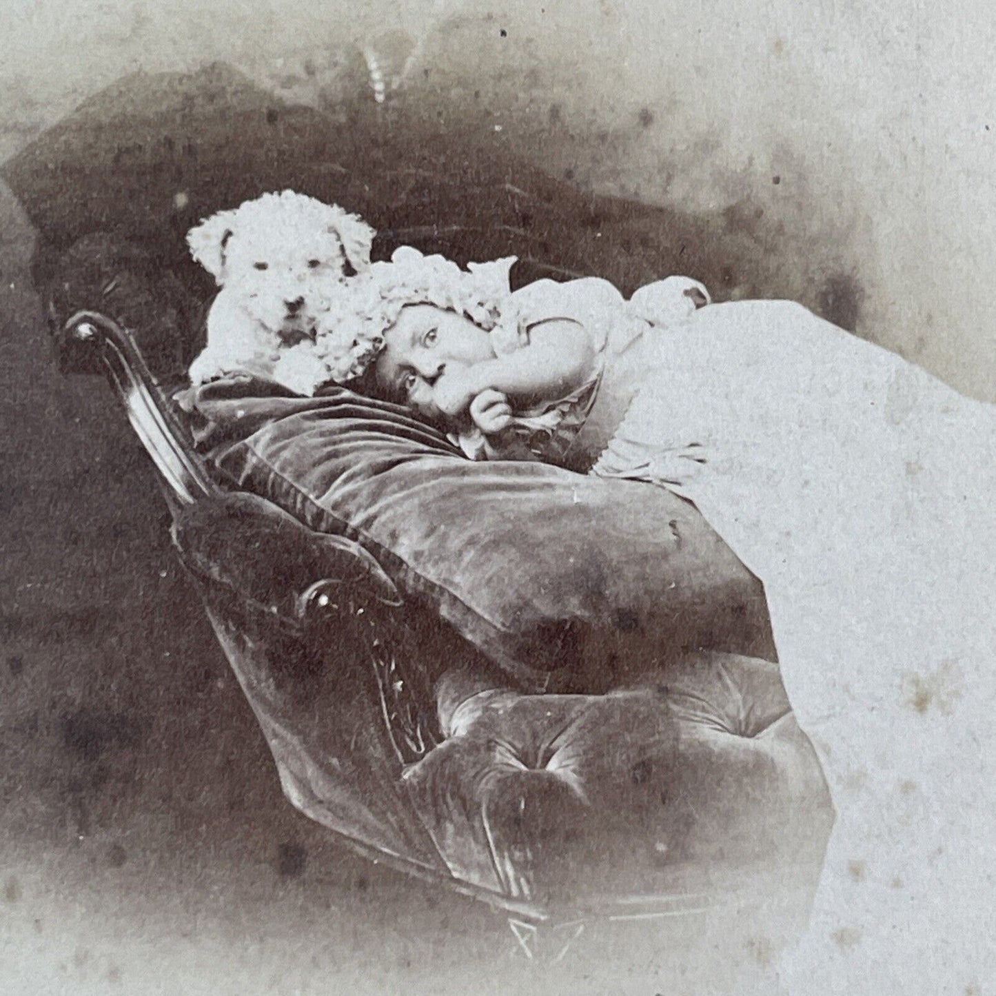 A Baby Laying Beside A Shaggy Dog Stereoview Photo Card Antique c1865 X1550