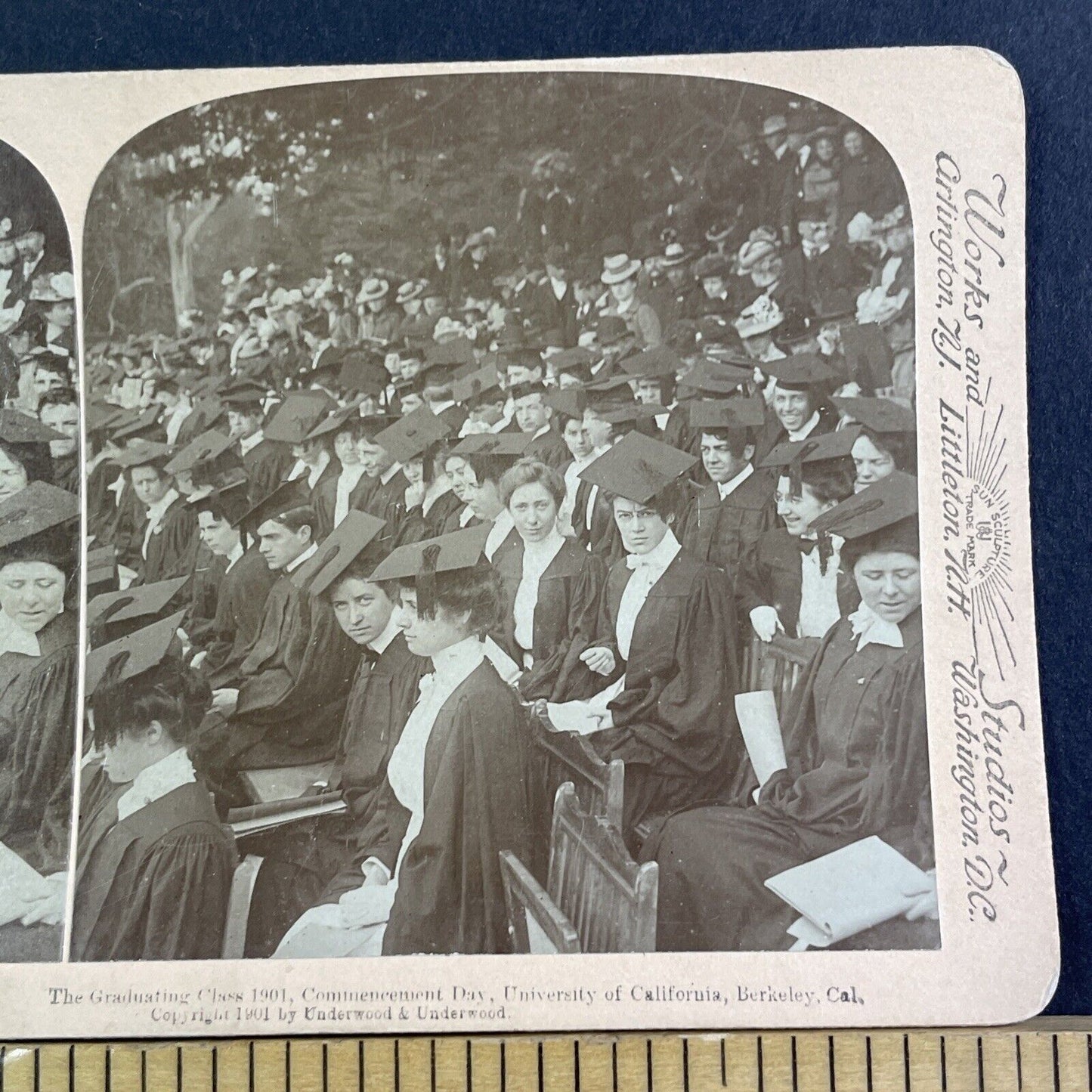 UC Berkeley Graduation Day Female Students Stereoview Antique c1901 X3265