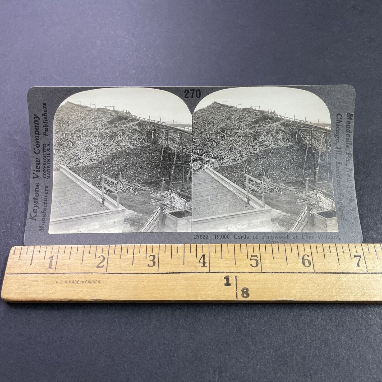Antique 1910s Millions Of Logs Thunder Bay Ontario Stereoview Photo Card P3731