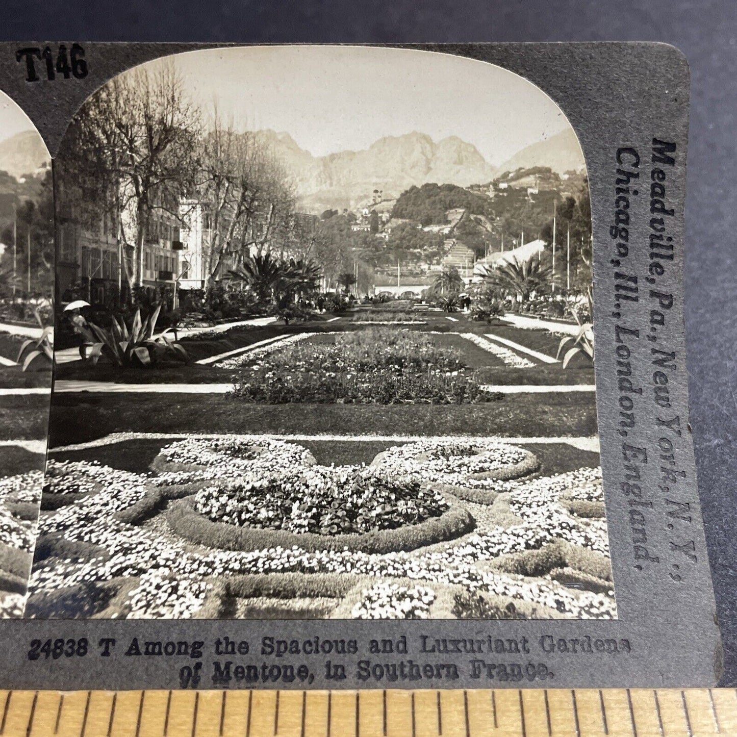 Antique 1910s Gardens Of Menton Nice France  Stereoview Photo Card P5523