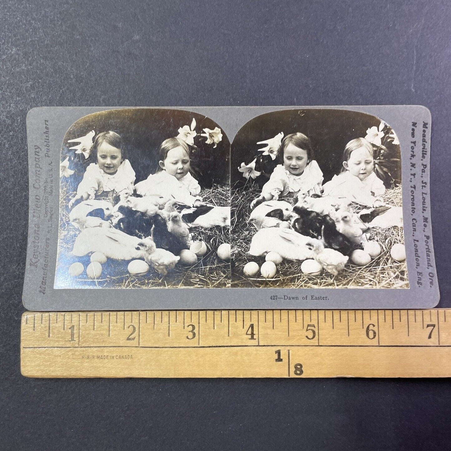 Easter Bunnies Laying Eggs Stereoview Happy Children Antique c1907 X2761