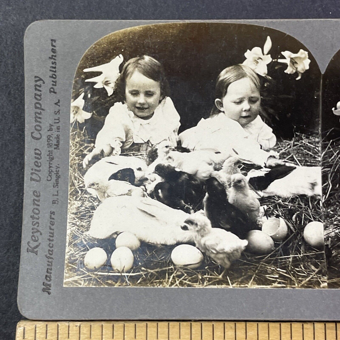 Easter Bunnies Laying Eggs Stereoview Happy Children Antique c1907 X2761