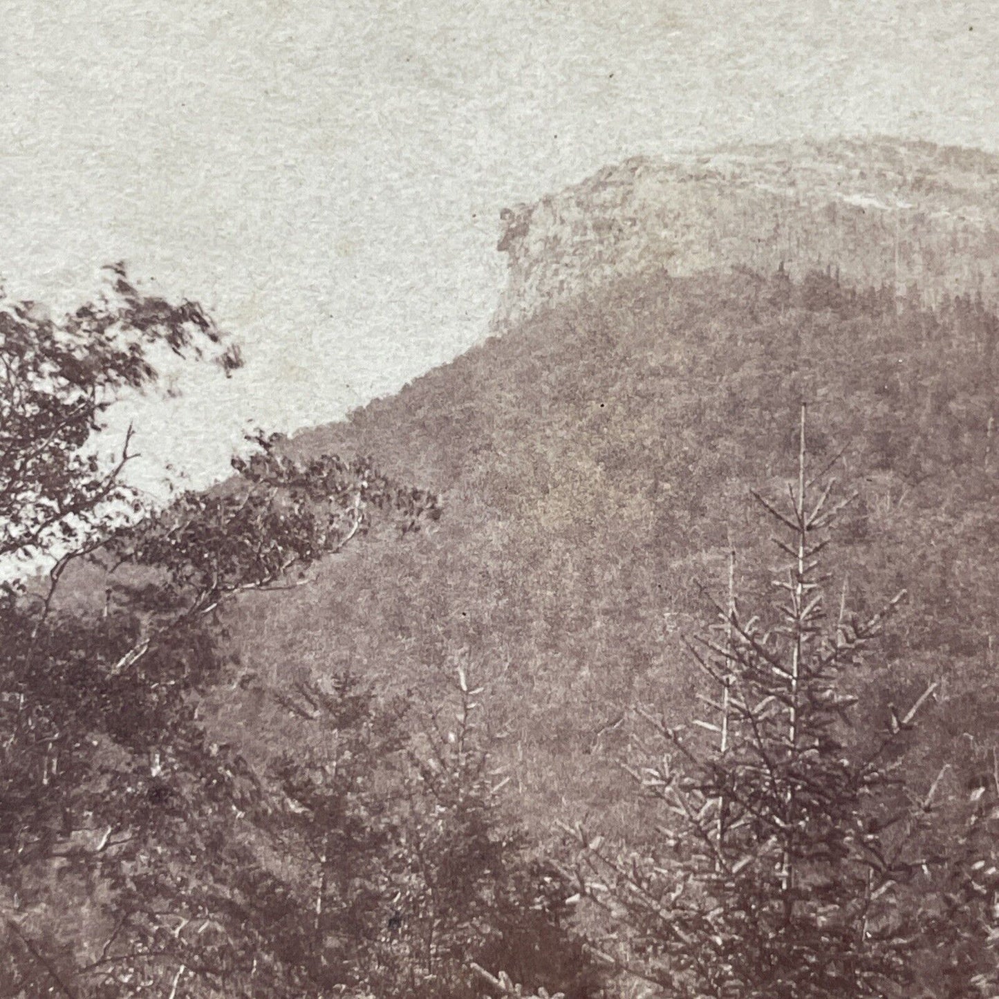 Antique 1860s Old Man Of The Mountain New Hampshire Stereoview Photo Card V1781