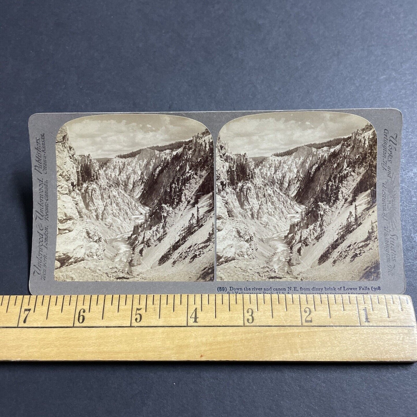 Antique 1904 Lower Falls Yellowstone National Park Stereoview Photo Card P4947