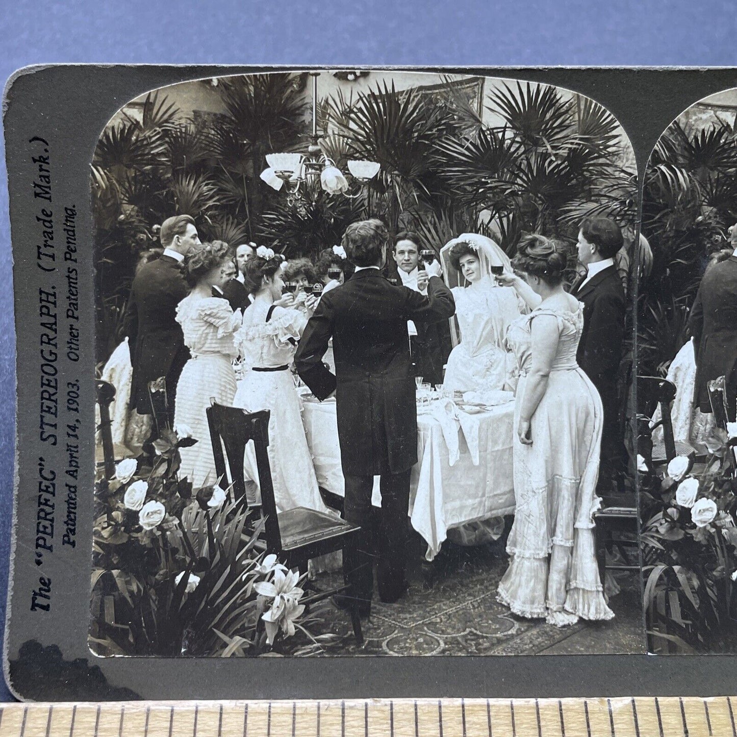 Antique 1902 Victorian Wedding Celebration With Wine Stereoview Photo Card P2457