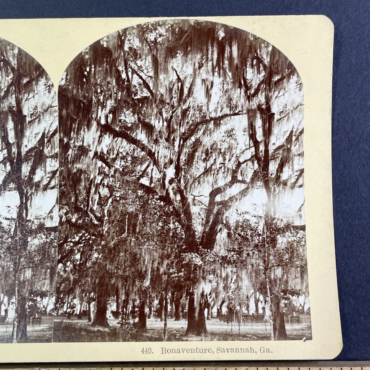 Bonaventure Cemetery Graveyard Savannah Georgia Stereoview c1870s Y2272