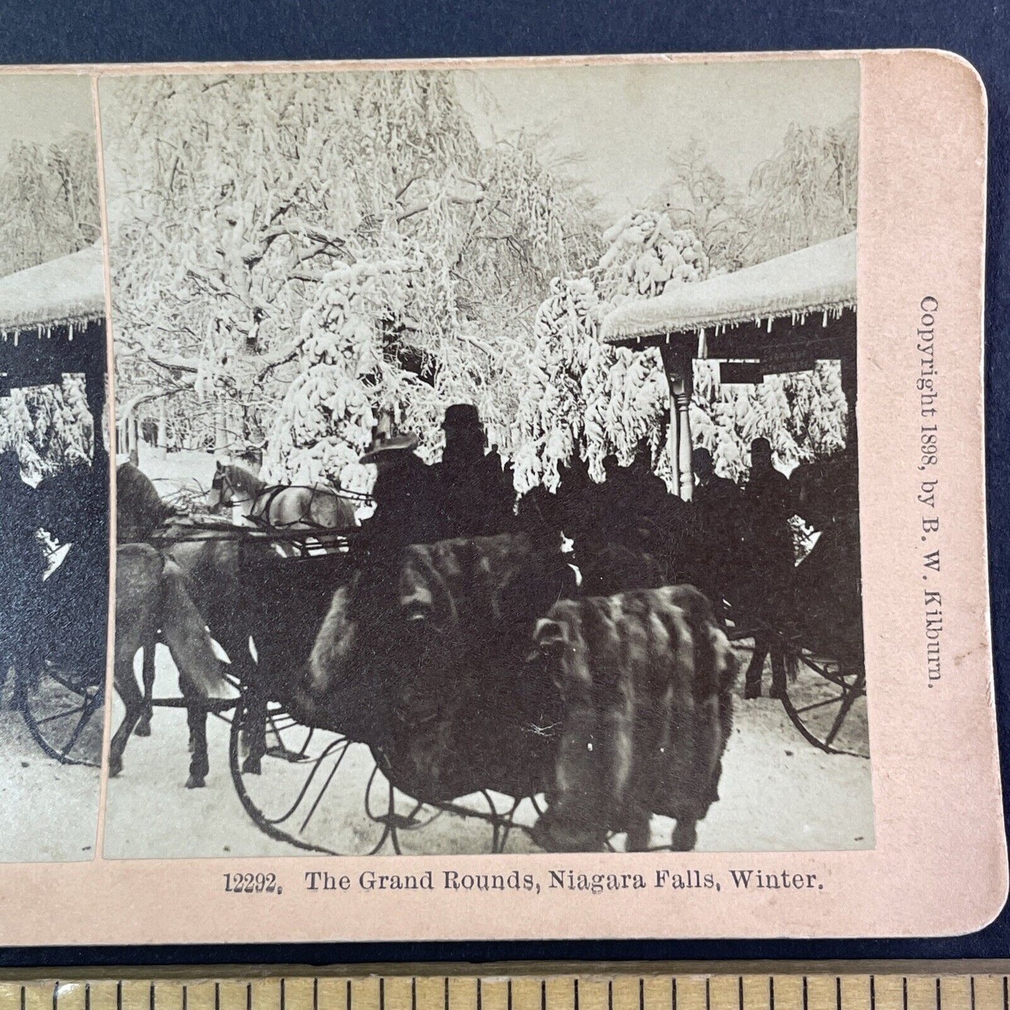 A Mink Lined Sleigh Stereoview Prospect Park New York Antique c1898 Y1865