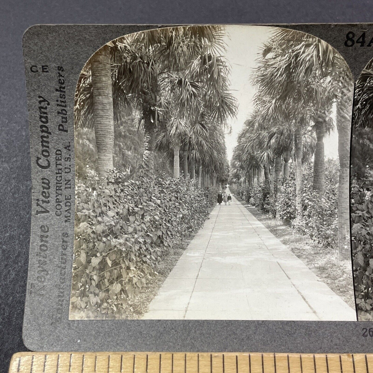 Antique 1910s Ocean Drive Palm Beach Florida Stereoview Photo Card V2174