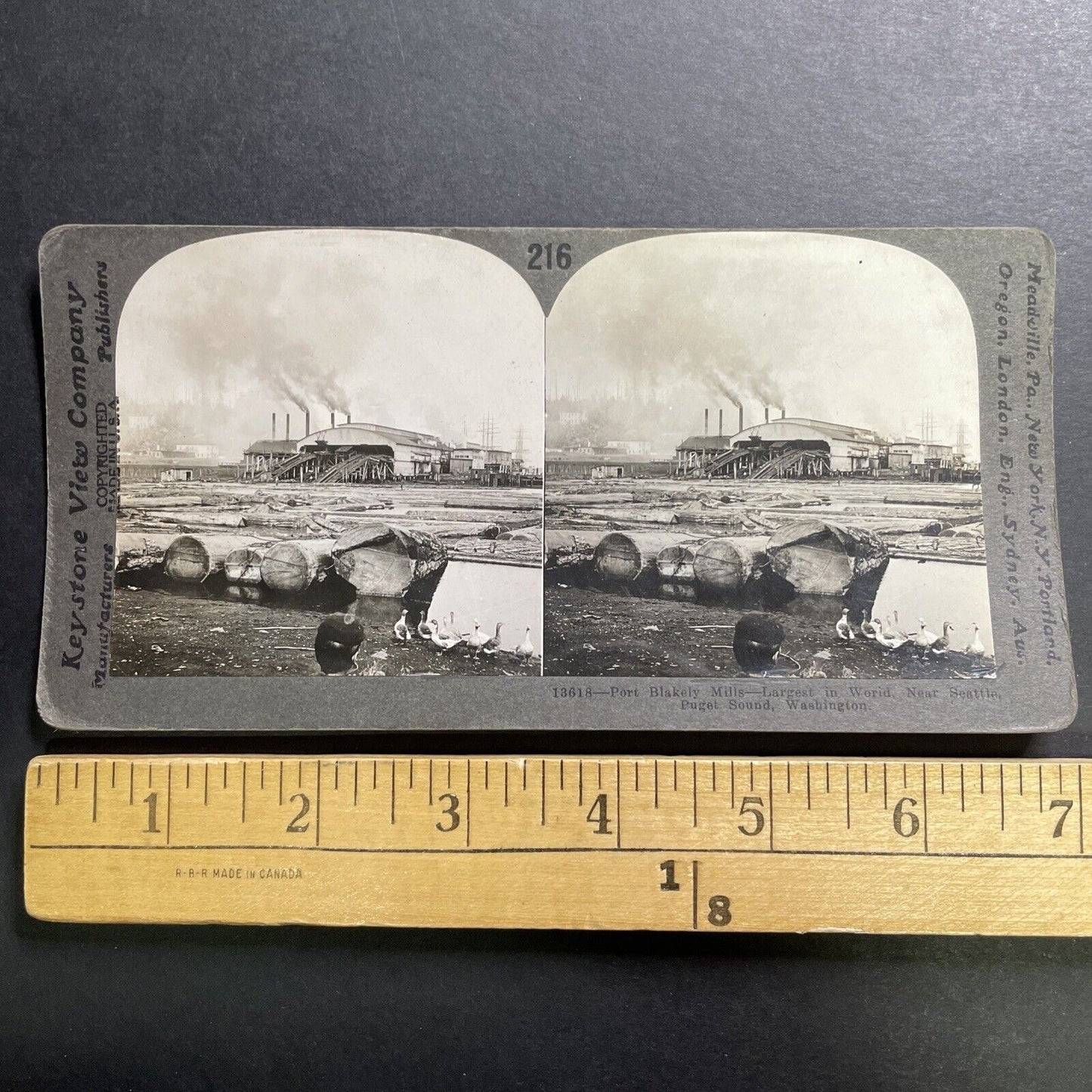 Antique 1914 Huge Lumber Mill Puget Sound Washington Stereoview Photo Card P1427