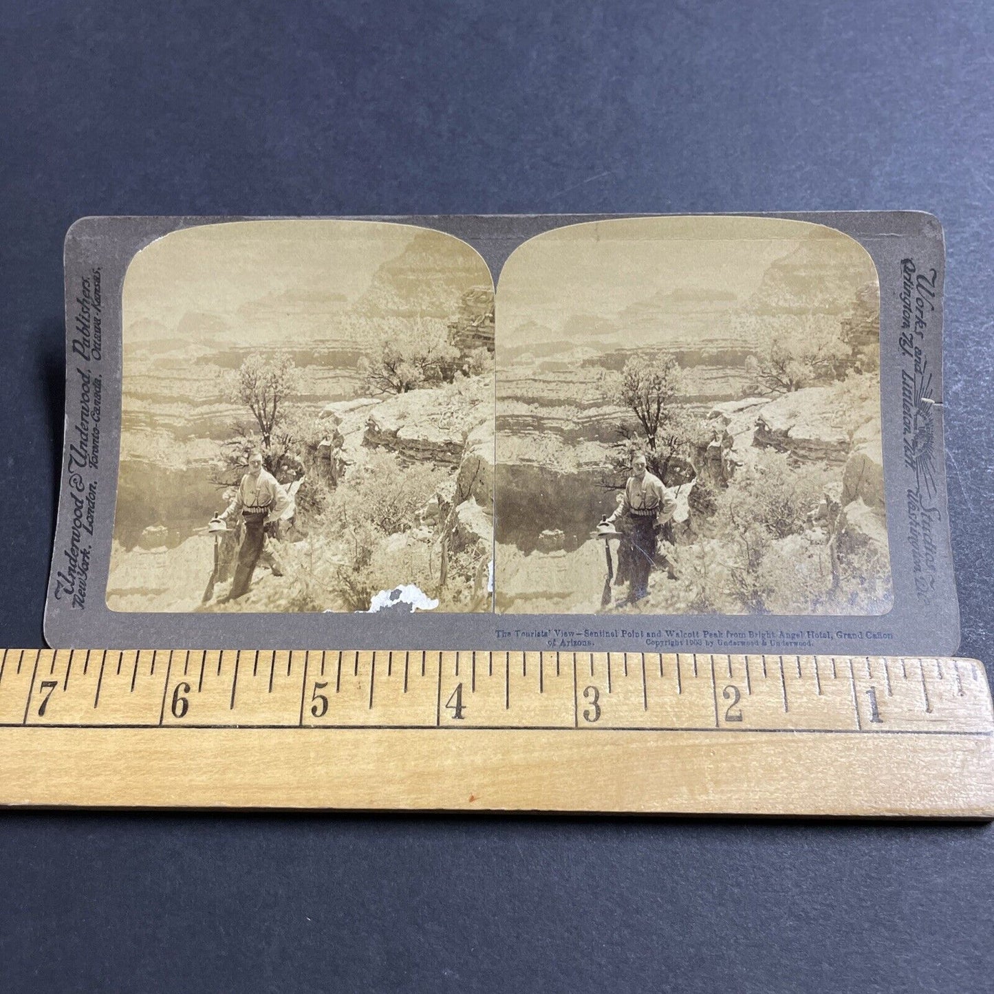 Antique 1902 Gunman Cowboy Grand Canyon Arizona Stereoview Photo Card P5049