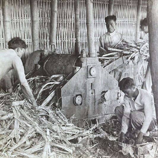 Antique 1906 Sugar Cane Grinder Manila Philippines Stereoview Photo Card P2119