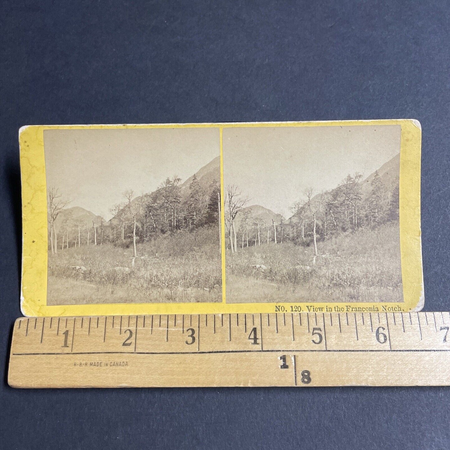 Antique 1870s Franconia Notch New Hampshire Stereoview Photo Card P4871