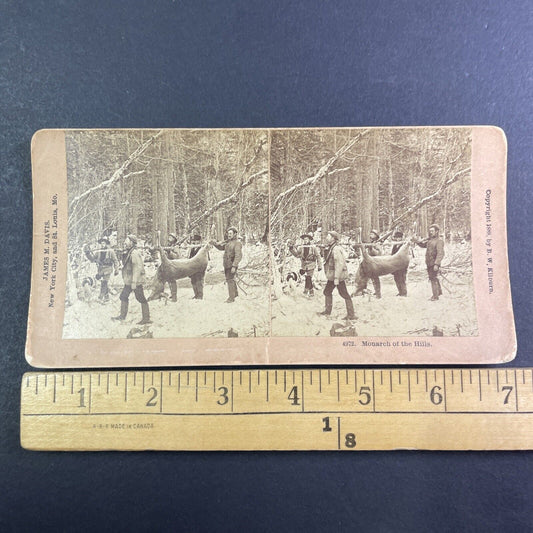 Hunters Carry a Deer in New Hampshire Stereoview Antique c1888 Y1393
