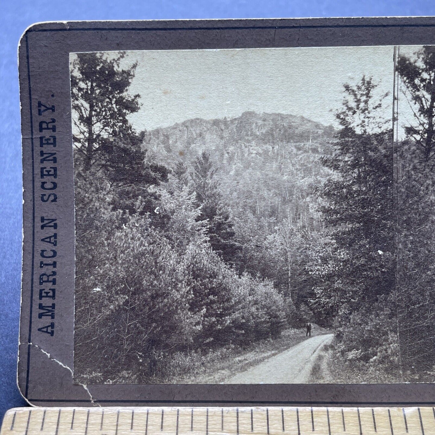 Antique 1880s A Roadway In Warren New Hampshire Stereoview Photo Card P2435