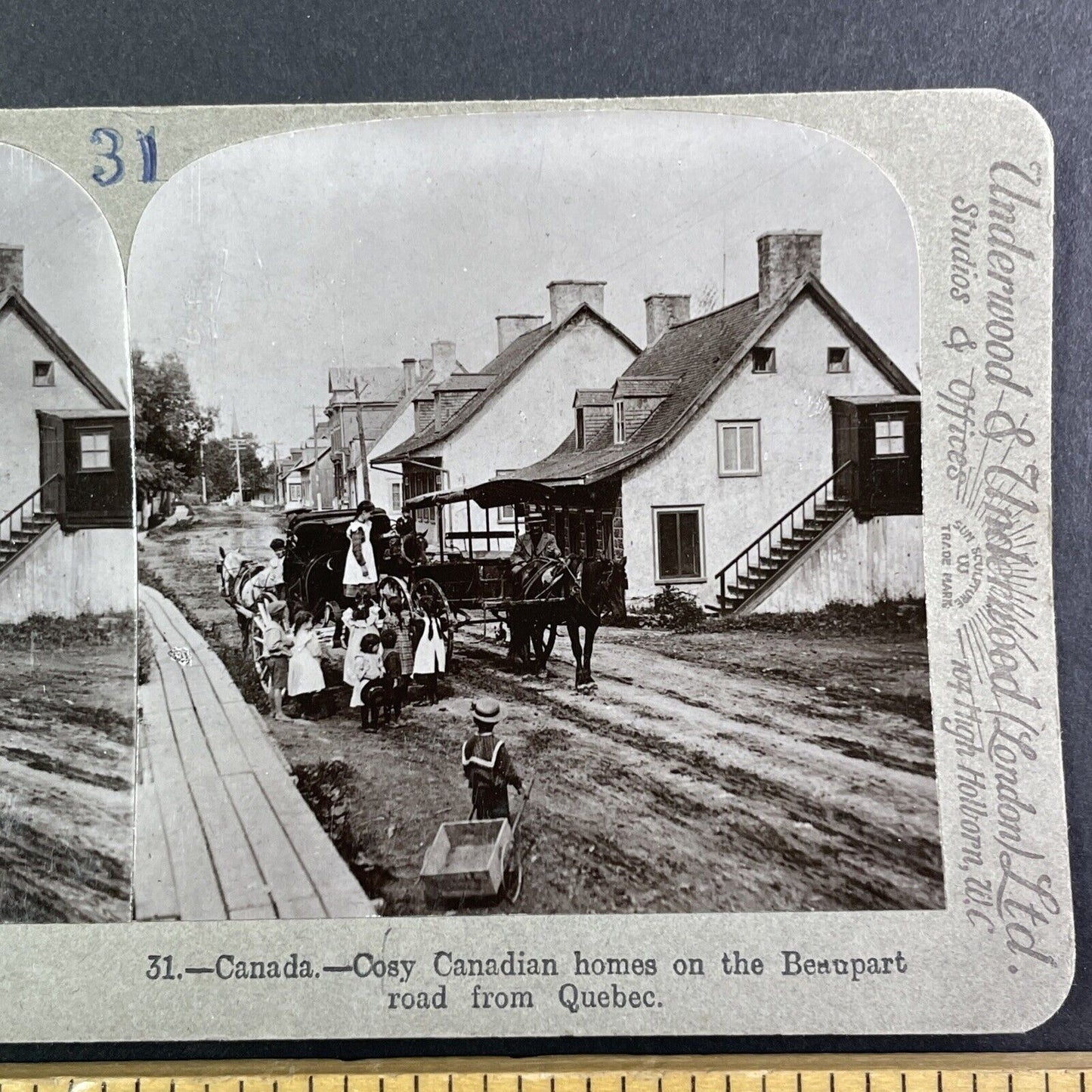 Chemin Royal Houses Quebec City Canada Stereoview Beauford Road c1903 Y1723