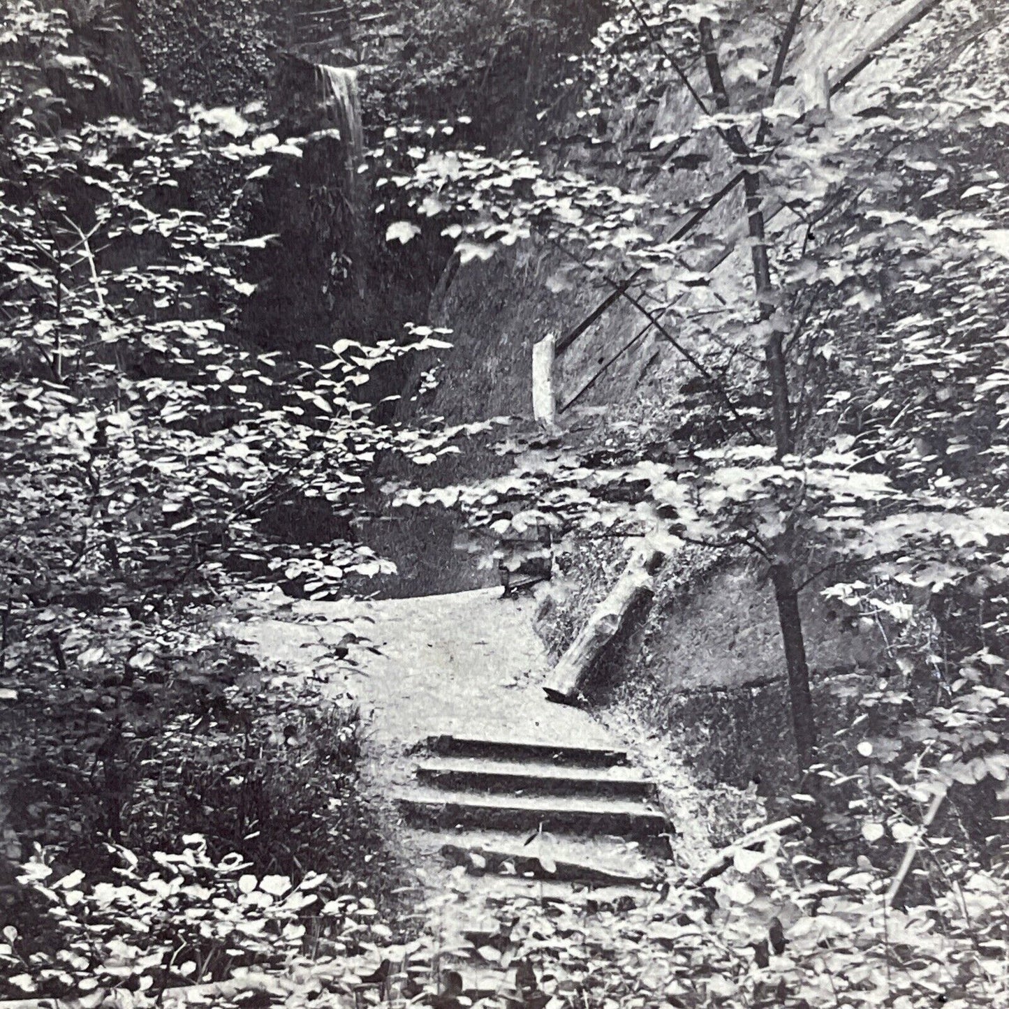 Antique 1870s Shanklin Chine Isle Of Wight UK Stereoview Photo Card P4384