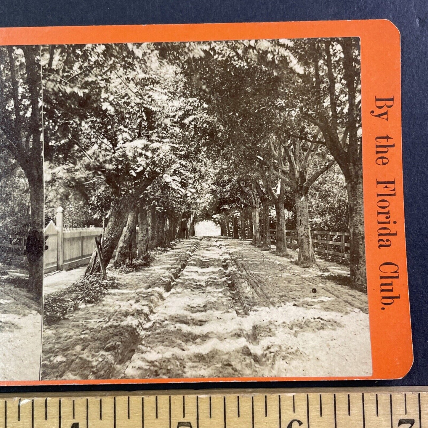 Archway Entrance to St. Augustine Florida Stereoview Antique c1870s Y085