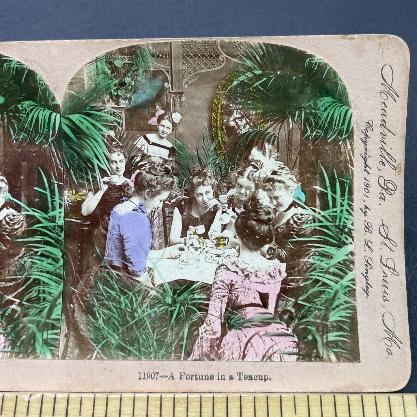 Antique 1901 Women Have A Garden Tea Party Stereoview Photo Card P2676