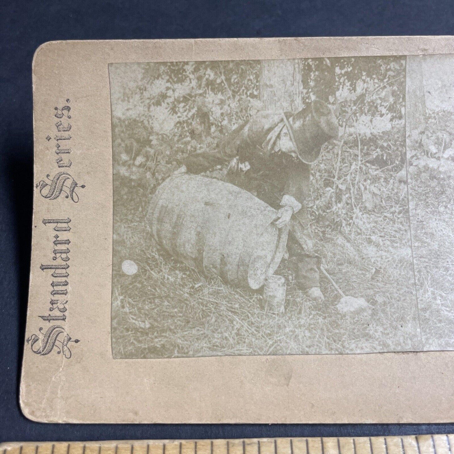 Antique 1870s Man Pours Rum Keg Into A Glass Mug Stereoview Photo Card P4715