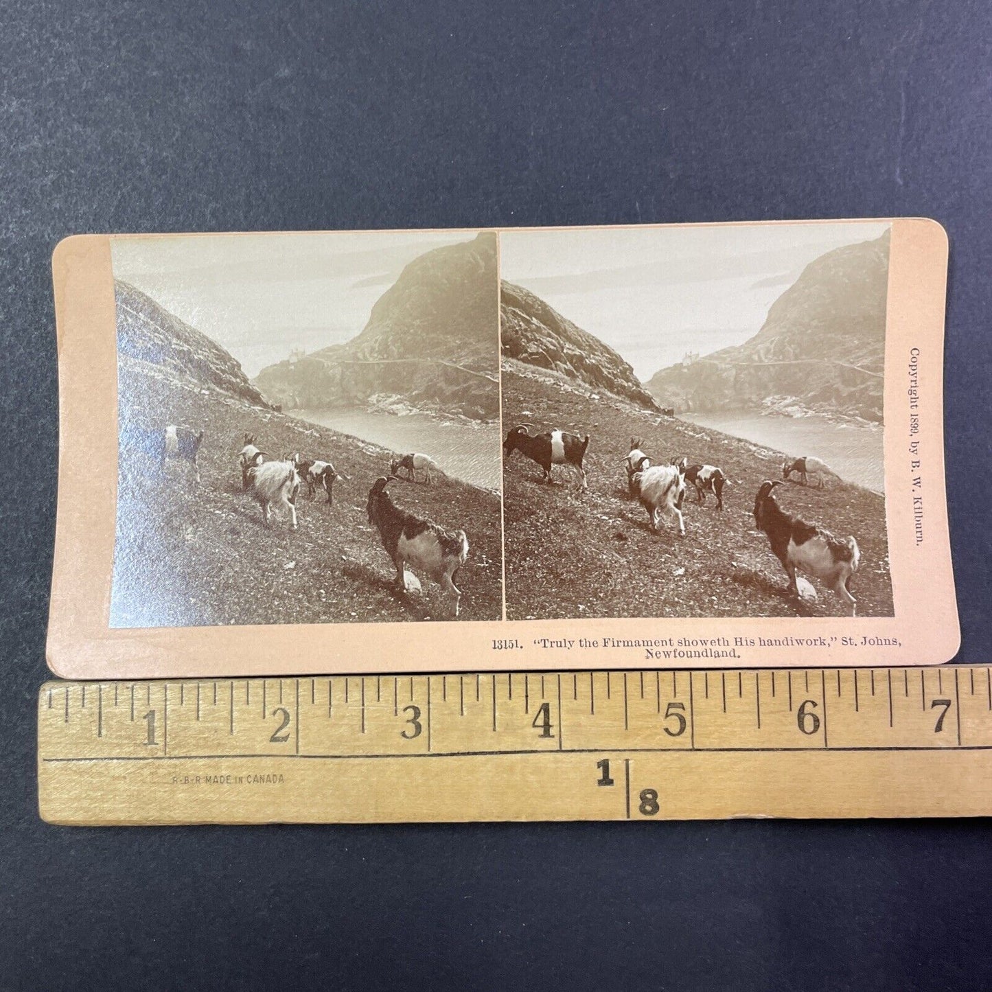 Fort Amherst Lighthouse Stereoview St. John's Newfoundland Antique c1899 X2762