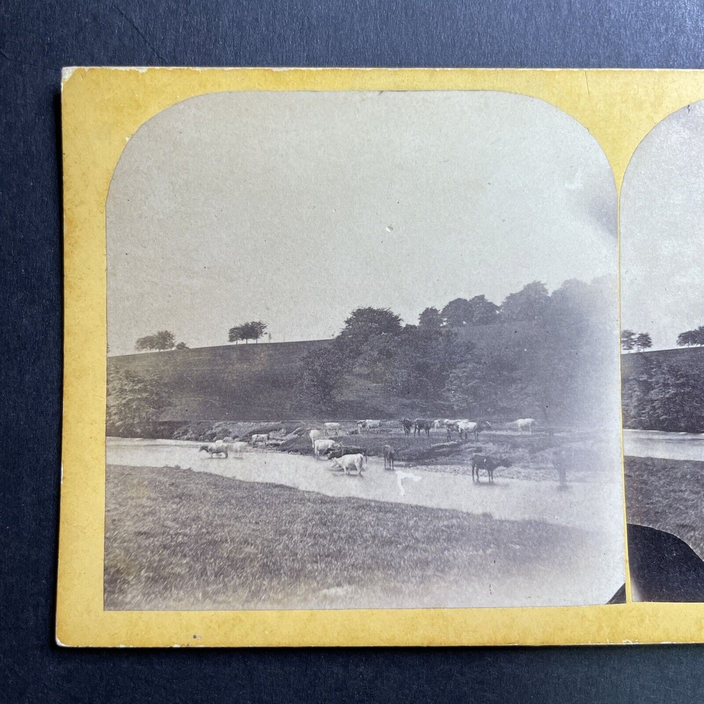 Antique 1860s Chatsworth Estate Park Derbyshire Stereoview Photo Card P1635