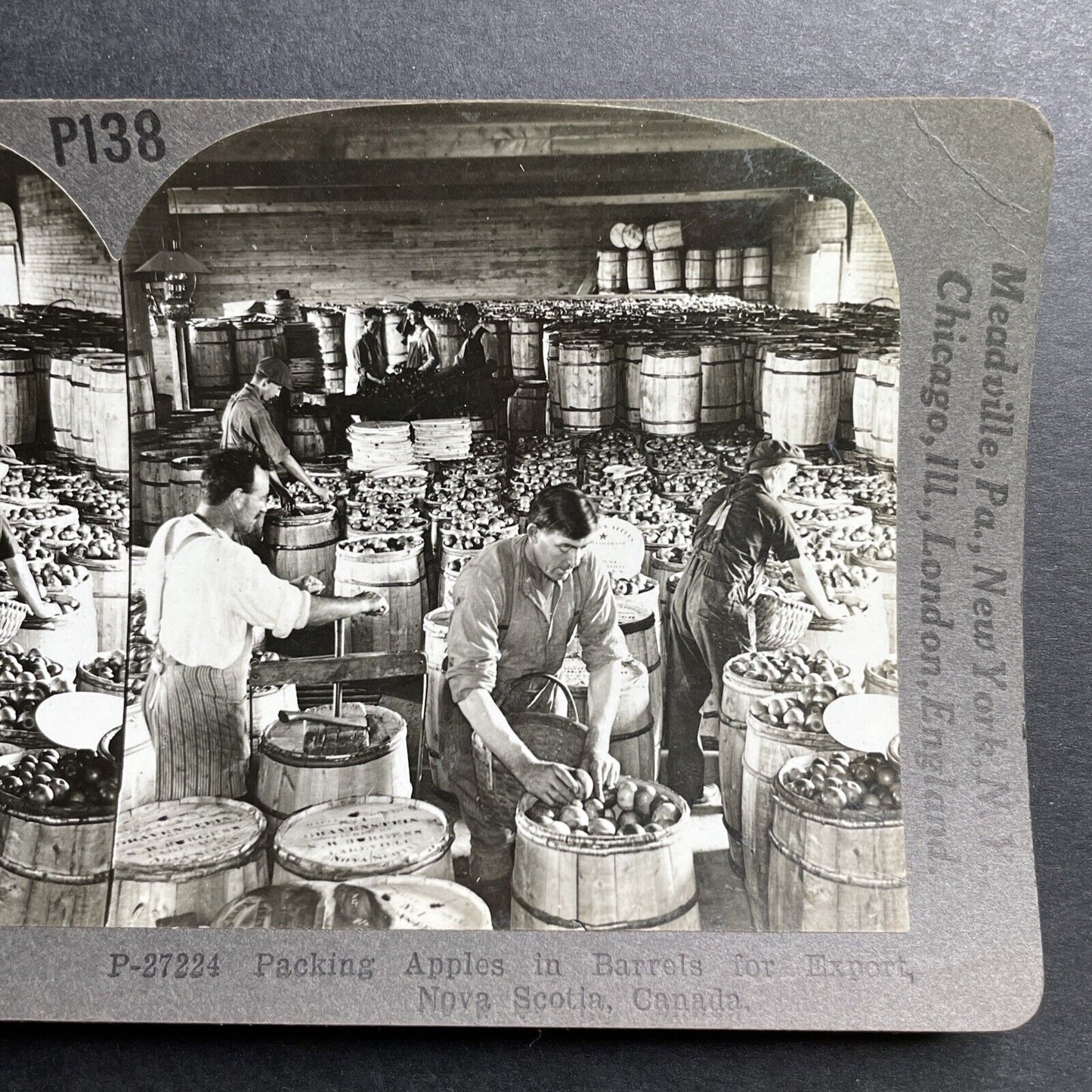 Antique 1920 Apple Farm In Nova Scotia Canada Stereoview Photo Card P1510