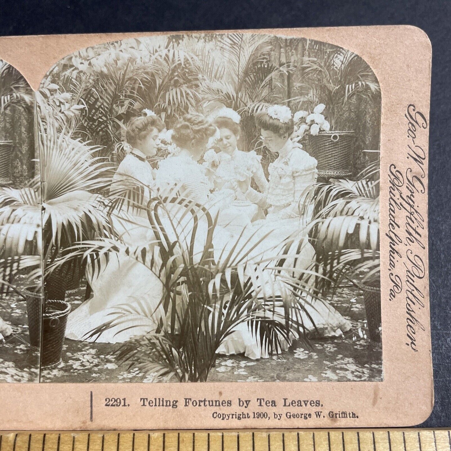 Antique 1900 High Society Fortune Telling Tea Leaves Stereoview Photo Card P4624