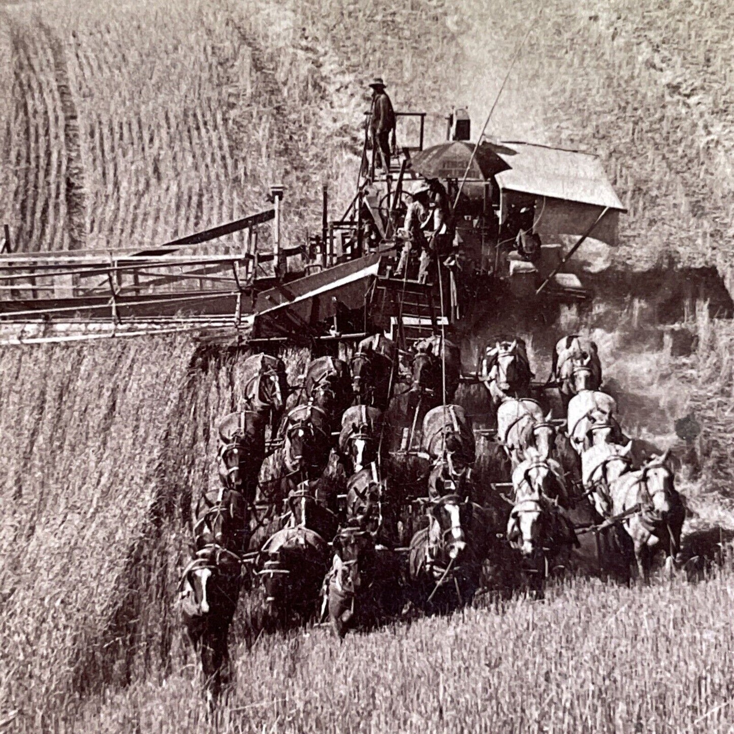 Antique 1902 Hay Combine Walla Walla Washington Stereoview Photo Card P1503