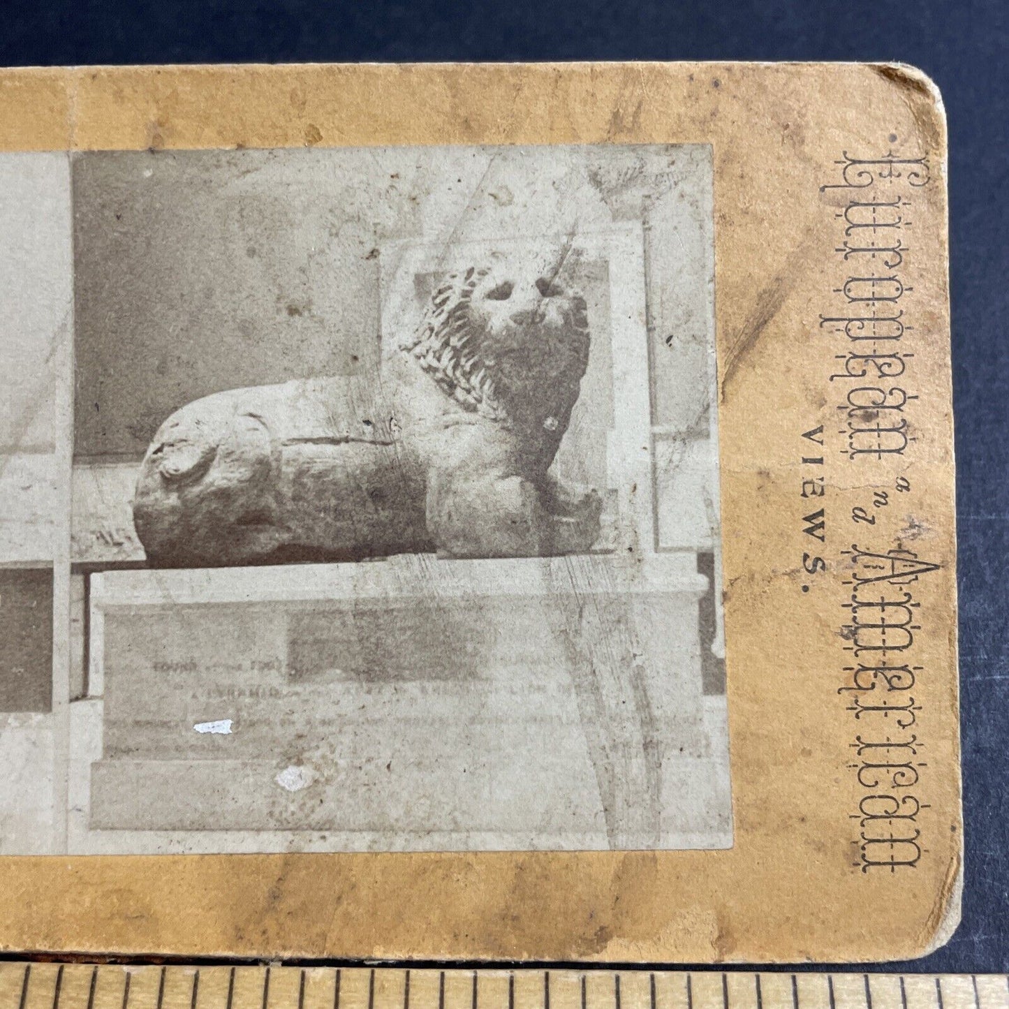 Antique 1870s Lion Of Knidos British Museum London Stereoview Photo Card P4539