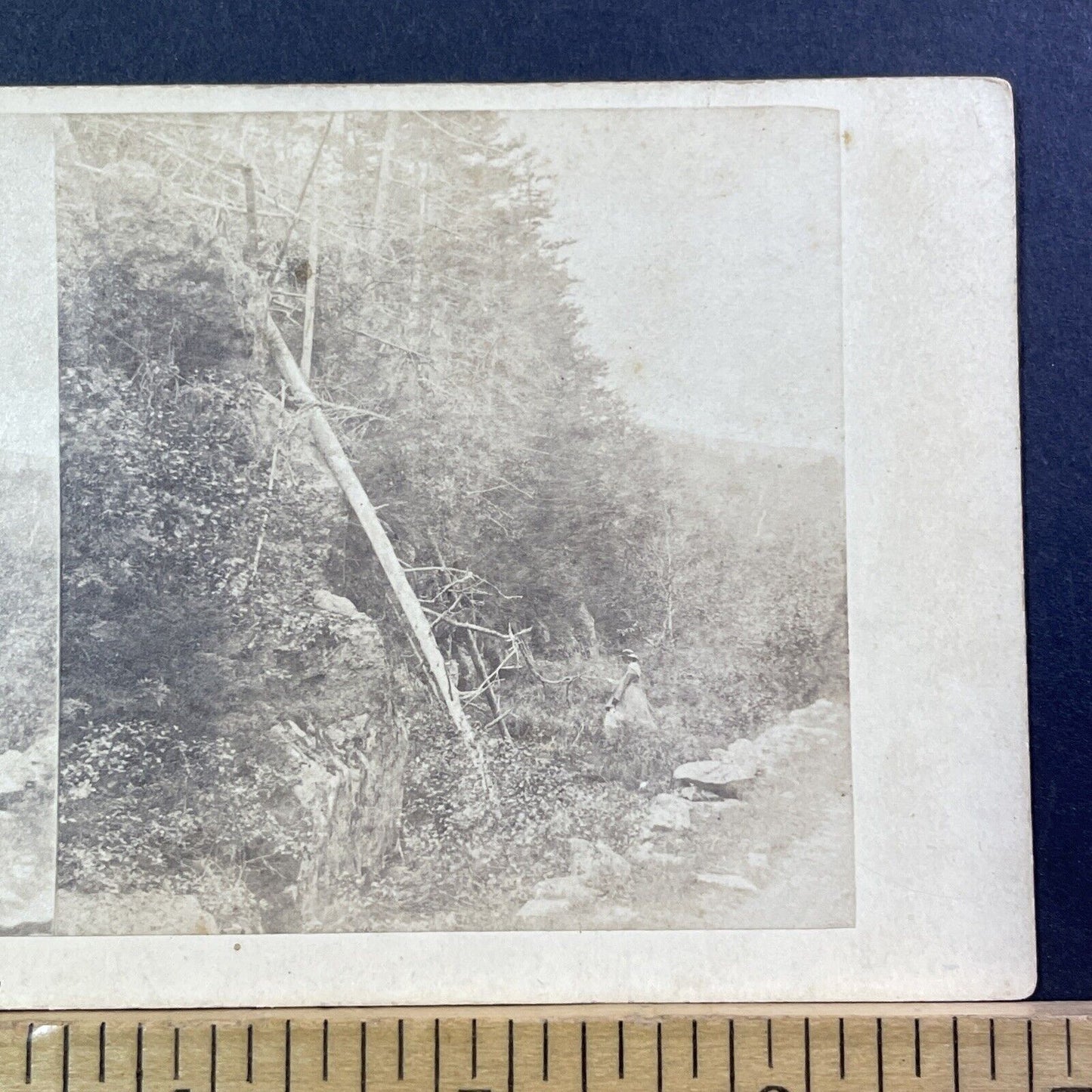 Entrance To Franconia Notch NH Stereoview Charles Bierstadt Antique c1870 X981