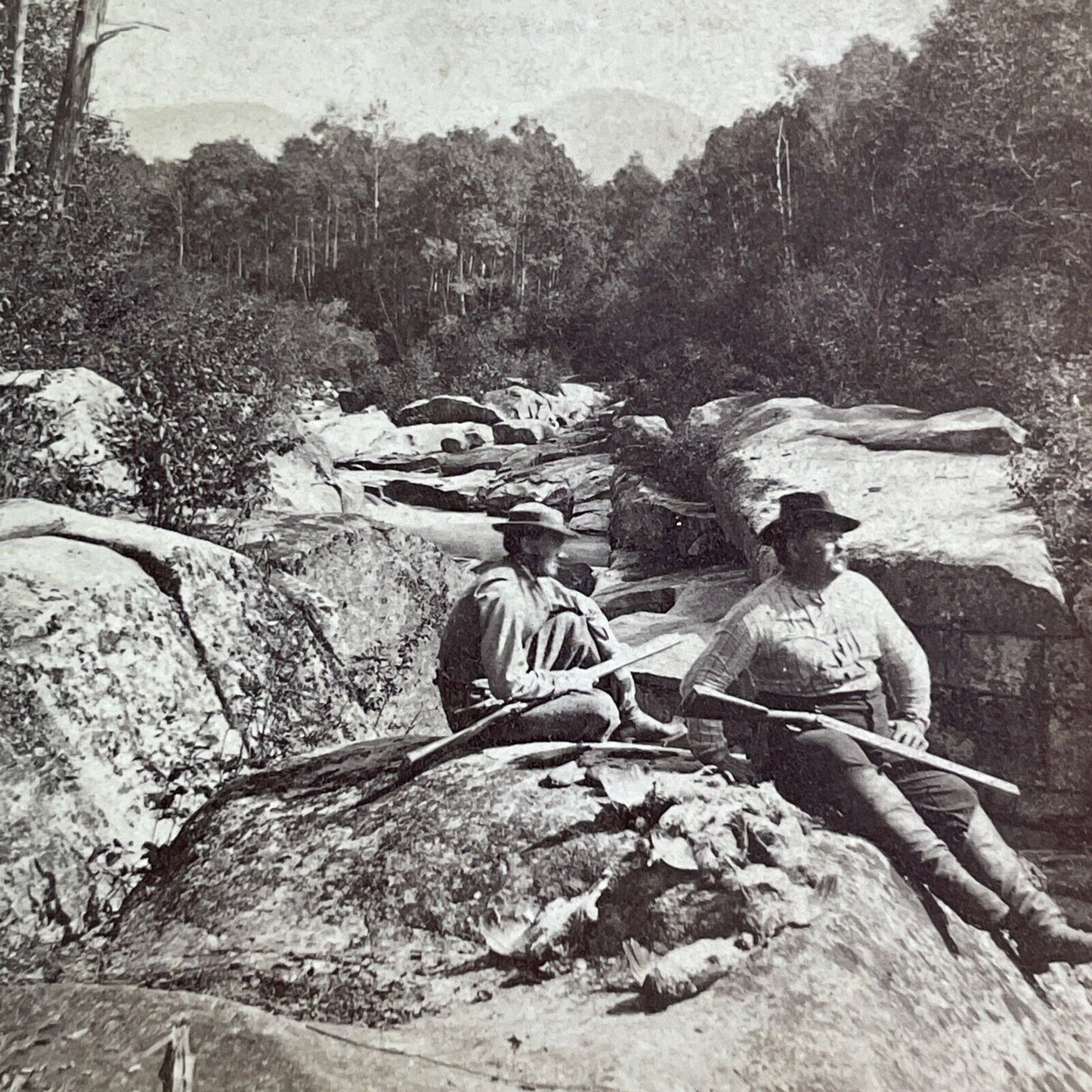 Hunting Partridge White Mountains NH Stereoview Antique c1872 X1533