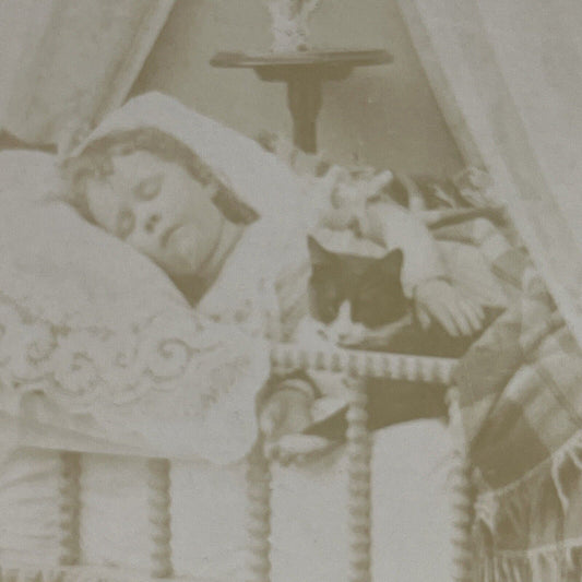 Antique 1875 A Child Sleeping With Her Cat In Bed Stereoview Photo Card P4079