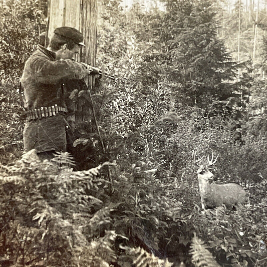 Antique 1898 Hunter Shoots A Buck Deer In Oregon Stereoview Photo Card P5090