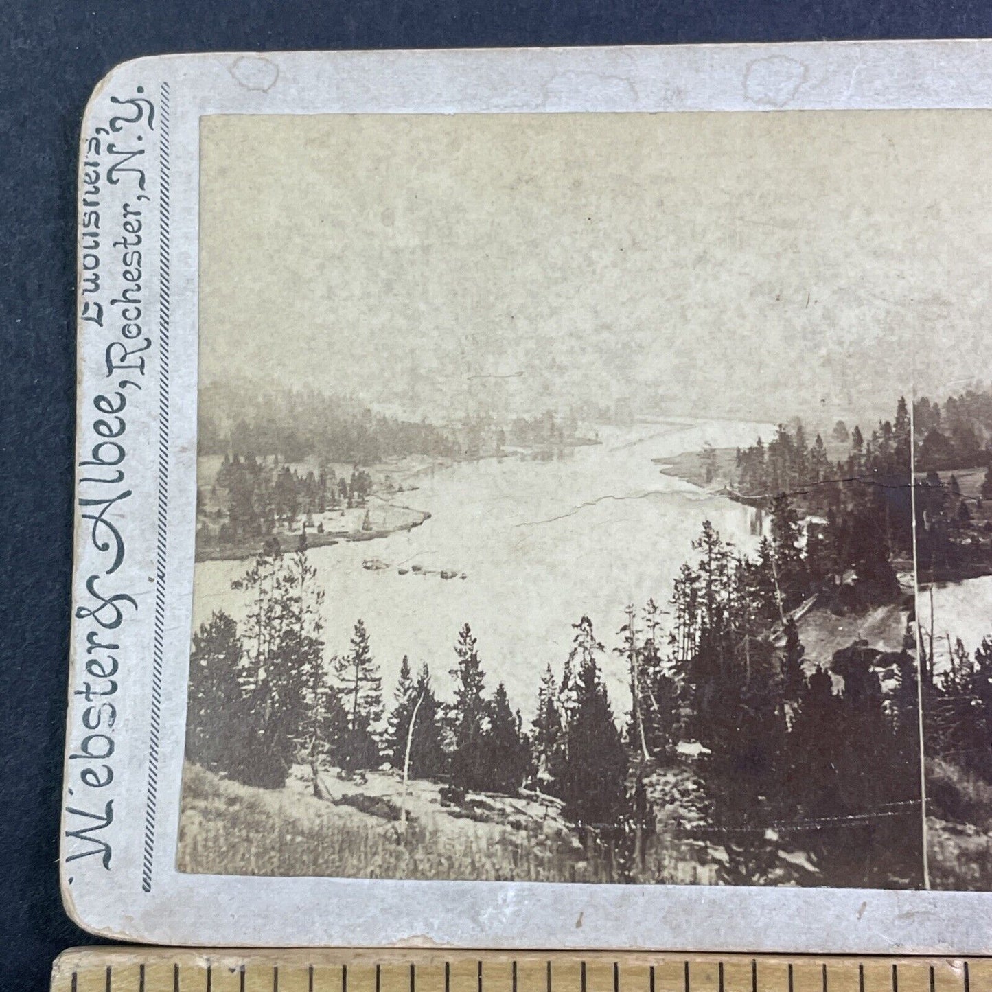 Hayden Valley Yellowstone River Park Stereoview Wyoming Antique c1875 X2466