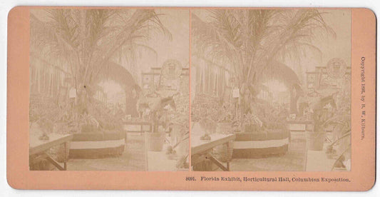 Antique 1893 Chicago Columbian Exposition Florida Exhibit Photo Card P046