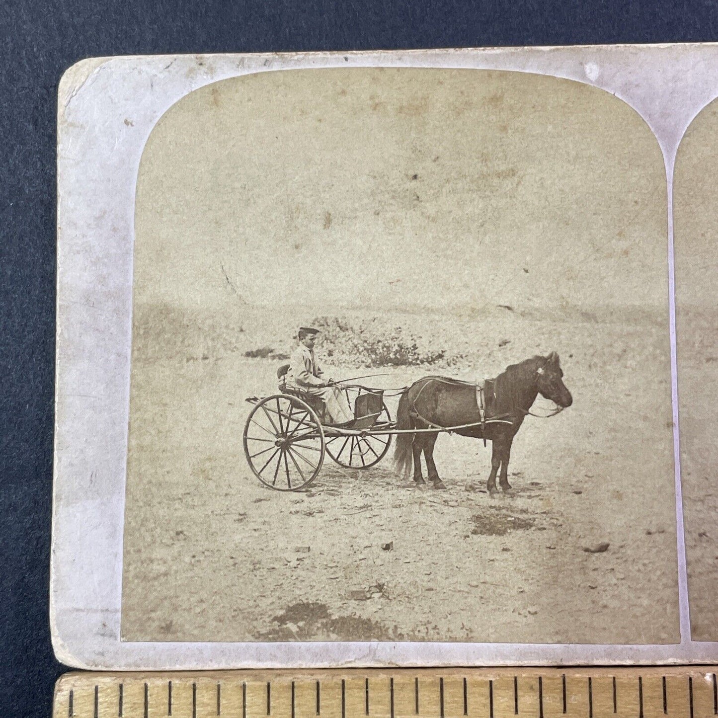 Boston Or Isles Of Shoals Stereoview Pony Wagon Photo Card Antique 1860s X875