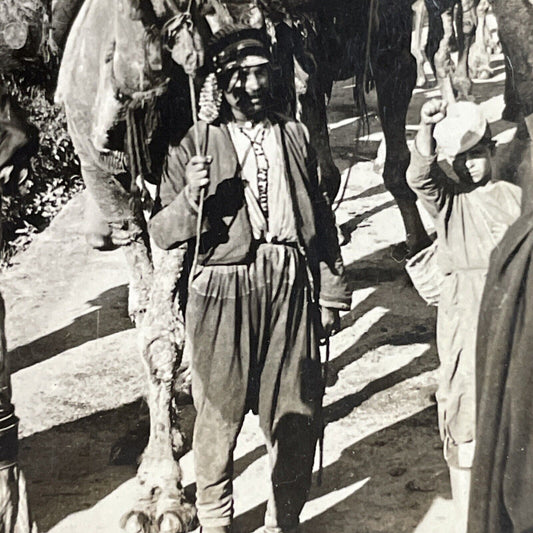 Antique 1910s Desert Warriors On Camels In Israel Stereoview Photo Card P4408