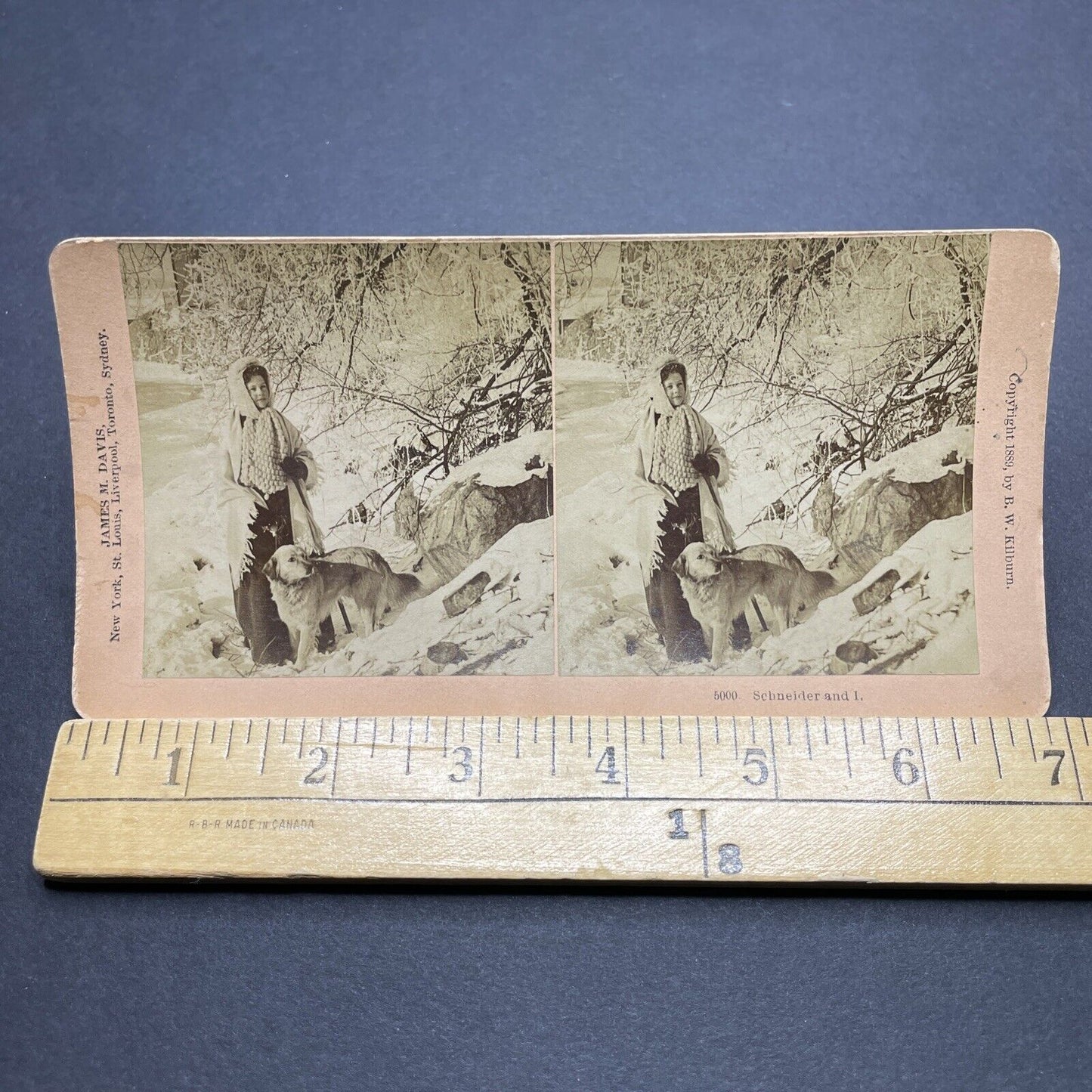 Antique 1889 Benjamin W Kilburn Daughter Elizabeth Stereoview Photo Card P1896