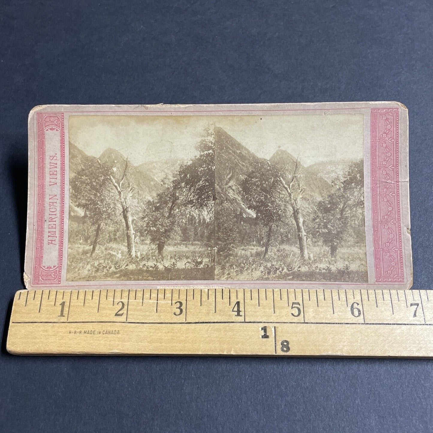 Antique 1870s Yosemite Park California Stereoview Photo Card P4781