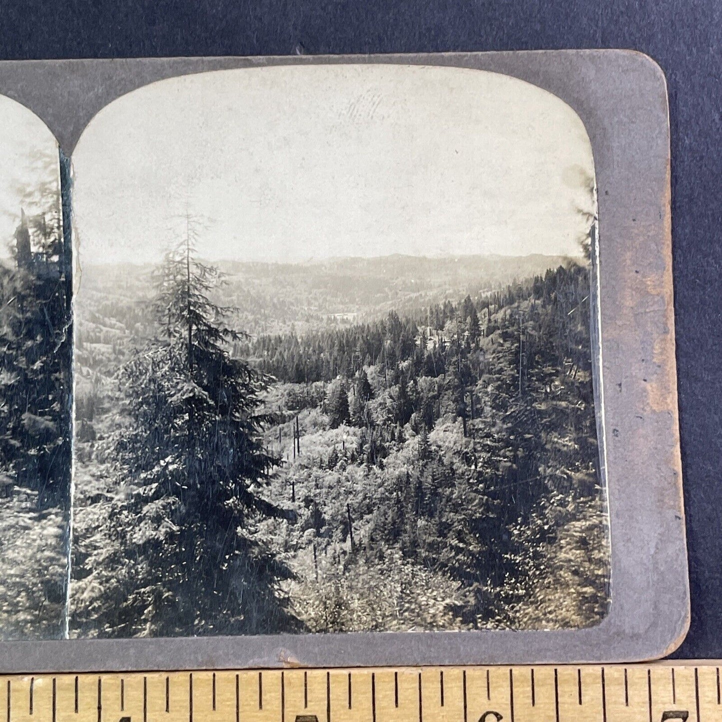 Blairsden California Vista Mountain View Stereoview Antique c1910 X1607