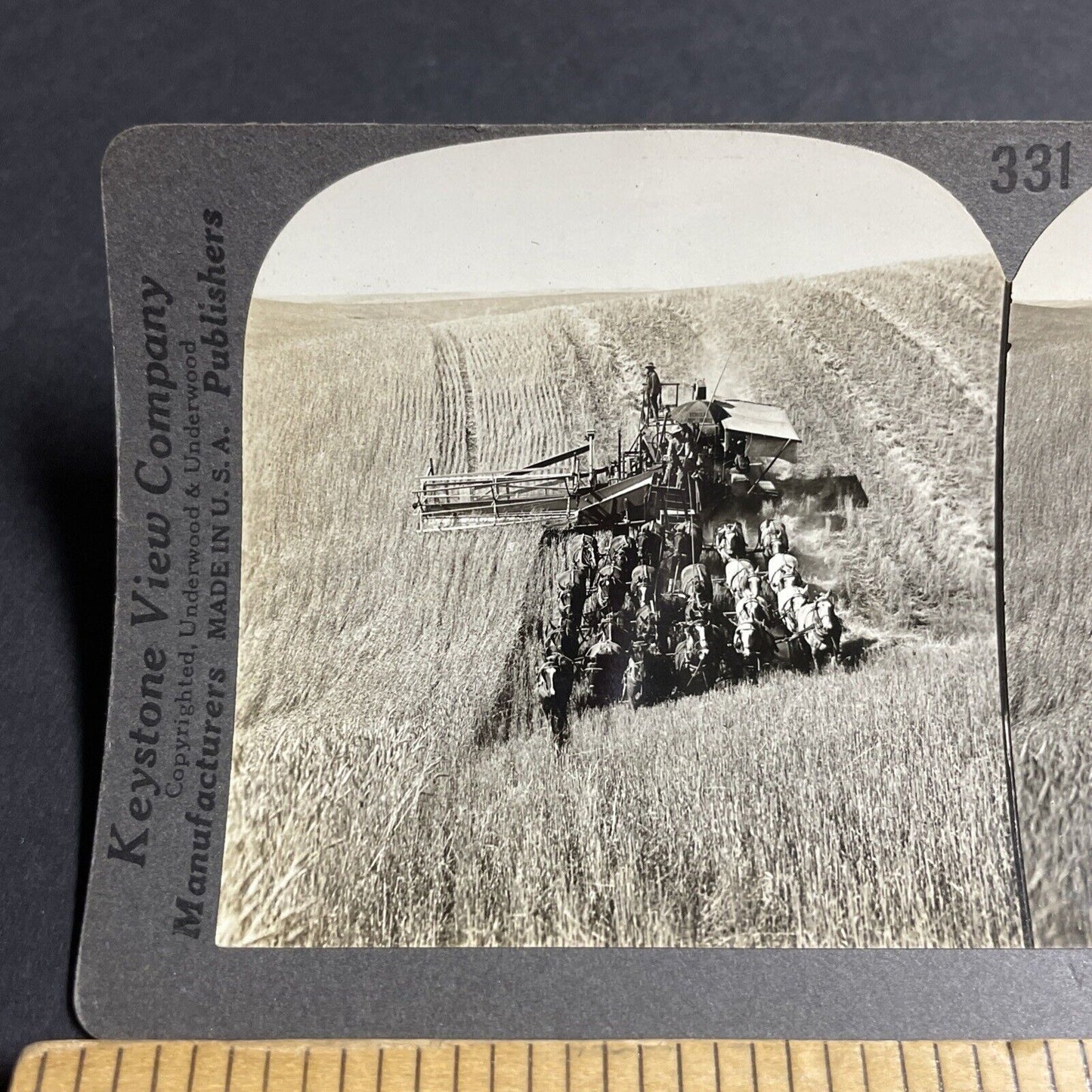 Antique 1910s Horse Drawn Wheat Combine Washington Stereoview Photo Card P3196