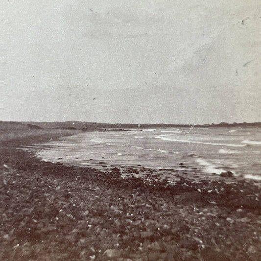 Antique 1860s Sawyer's Beach New Hampshire Stereoview Photo Card V2145